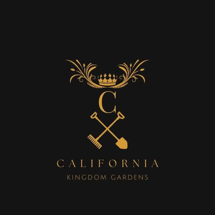 Local yard cleanup service with custom design in San Jose, CA by California Kingdom Gardens and services