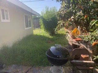 Custom yard maintenance for year-round maintenance across San Jose, CA - California Kingdom Gardens and services