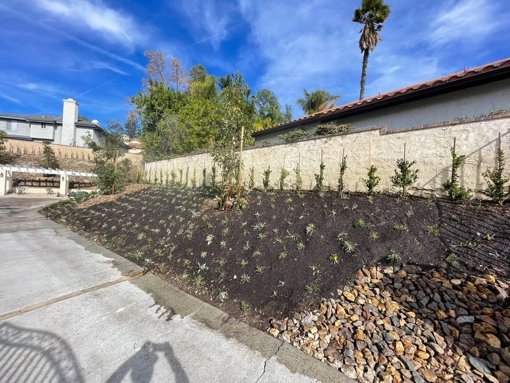 Expert lawn care service in Fillmore, CA - California Land Care