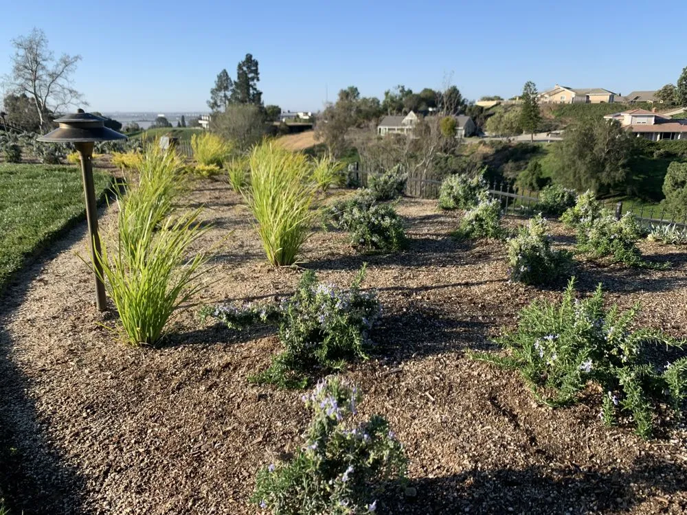 Top-rated yard cleanup service with custom design in Fillmore, CA by California Land Care