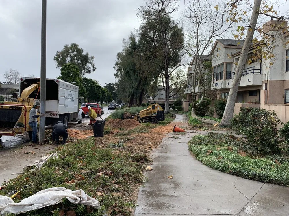 Expert yard cleanup service for beautiful yards in Fillmore, CA by California Land Care