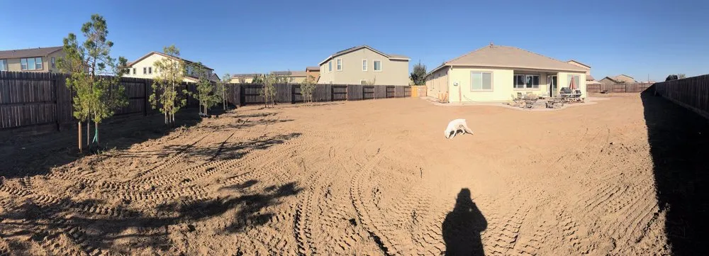 Reliable yard cleanup service experts serving Manteca, CA - California Landscape Services