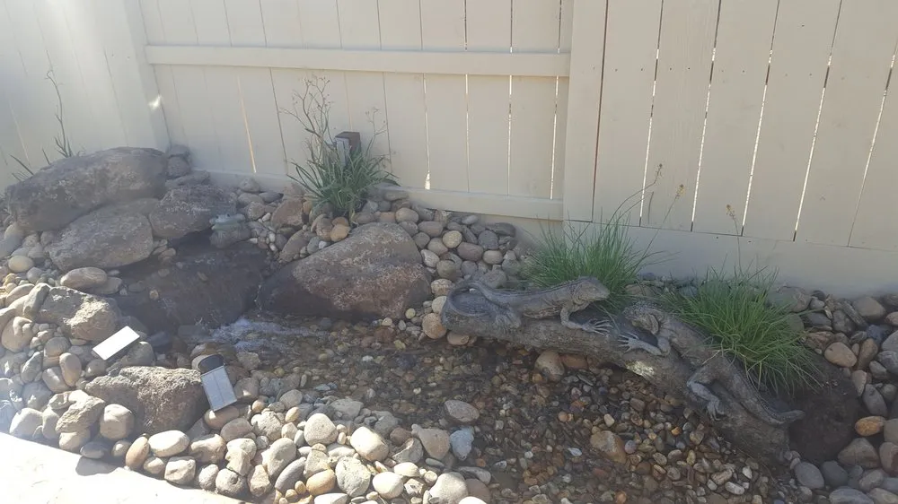 Expert lawn mowing service in Manteca, CA by California Landscape Services