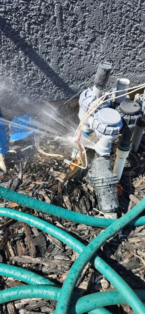 Local lawn mowing service near you across Elk Grove, CA - California Landscaping & Design