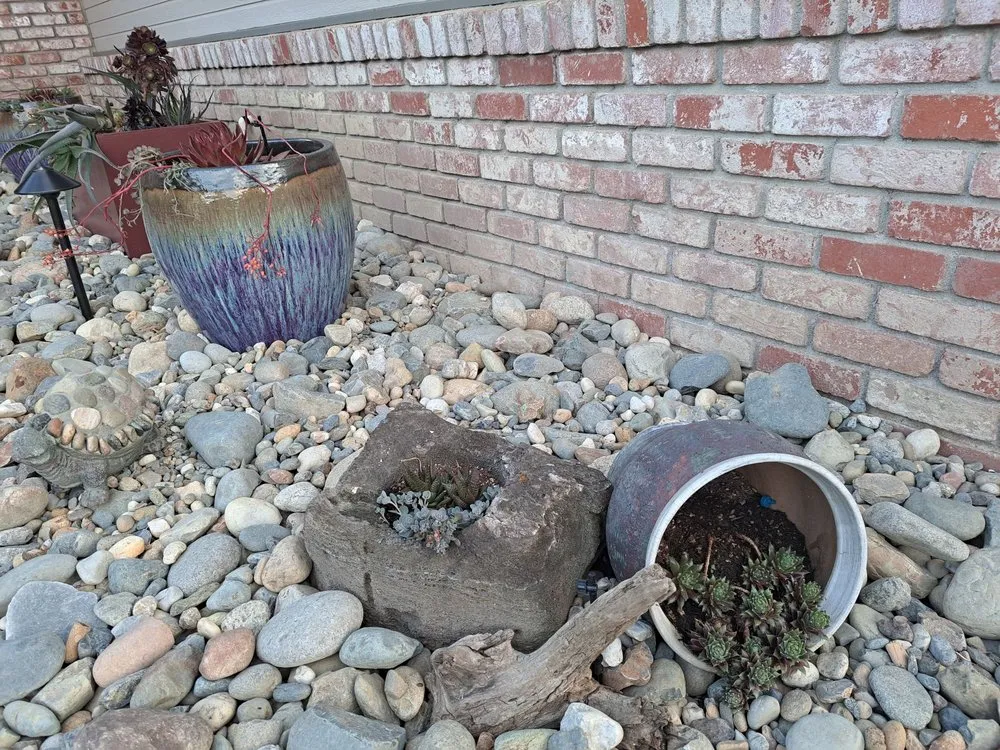 Expert residential landscaping experts serving Elk Grove, CA - California Landscaping & Design