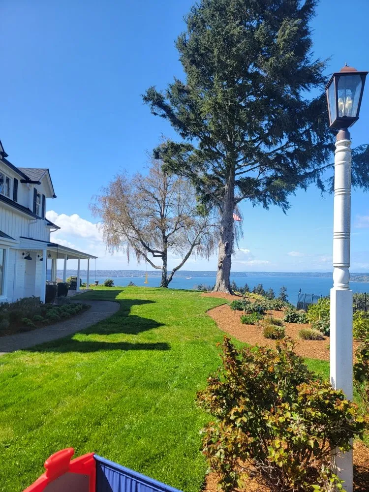 Professional yard cleanup service near you across Lacey, WA - California Landscaping & House Cleaning Services