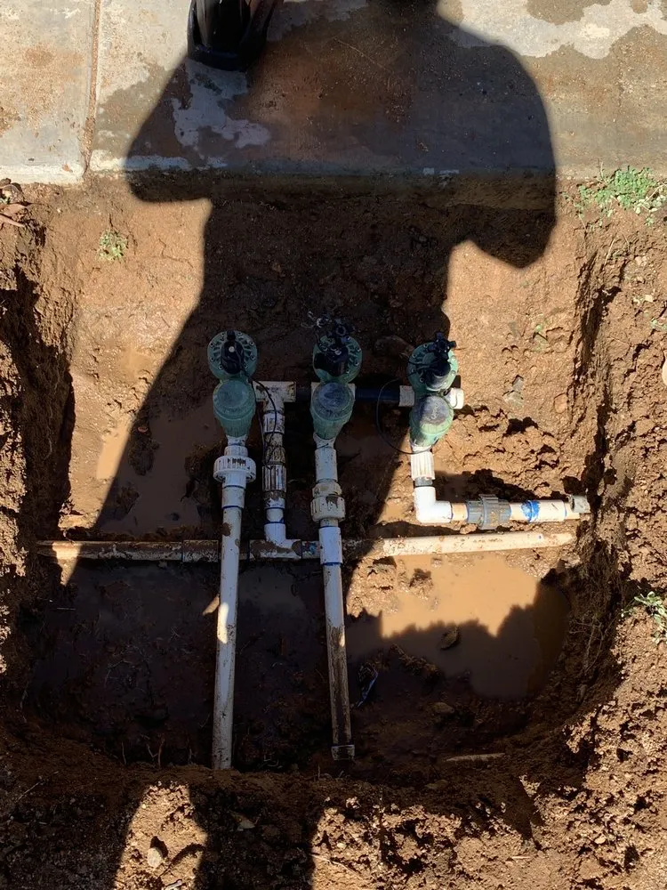 Top-rated landscape installation in Costa Mesa, CA by California Landscaping