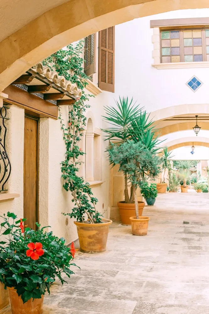 Professional yard maintenance for year-round maintenance in Costa Mesa, CA by California Landscaping