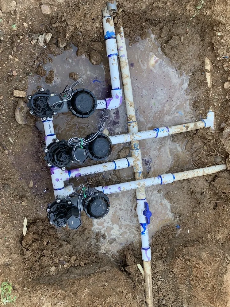 Professional landscaping services near you across Costa Mesa, CA - California Landscaping