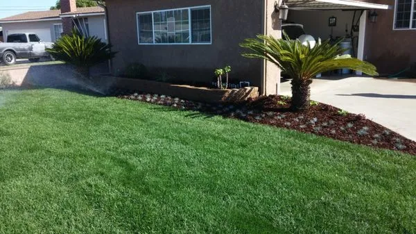 California Native Landscaping