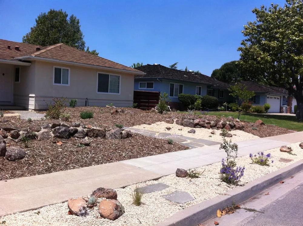 Affordable yard maintenance in San Jose, CA - California Nativescapes