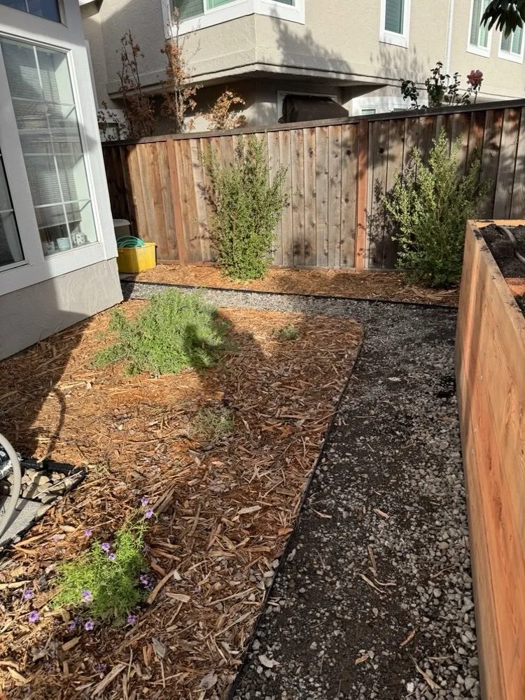 Local landscaping services with custom design across San Jose, CA - California Nativescapes