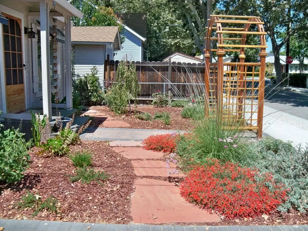 Trusted yard maintenance in San Jose, CA - California Nativescapes