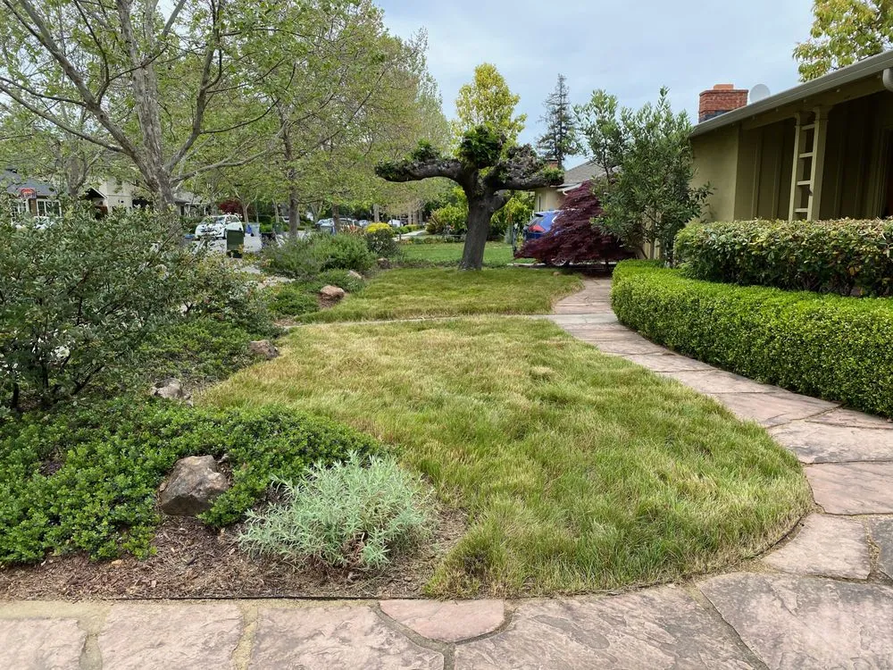 Custom landscape installation in San Jose, CA - California Nativescapes