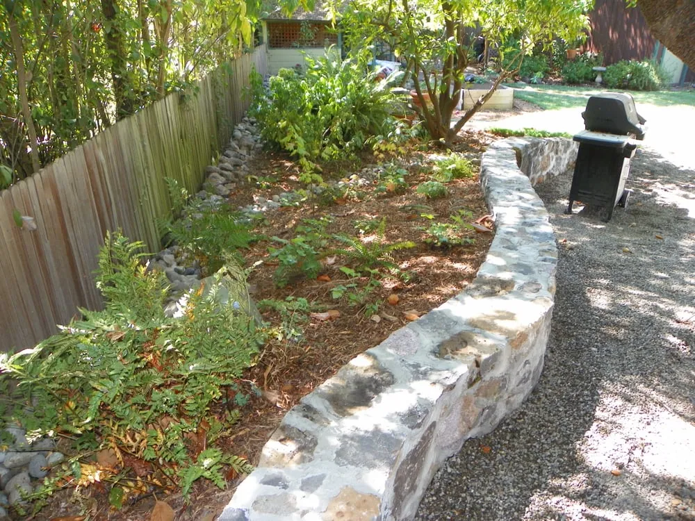 Top-rated yard cleanup service in San Jose, CA by California Nativescapes