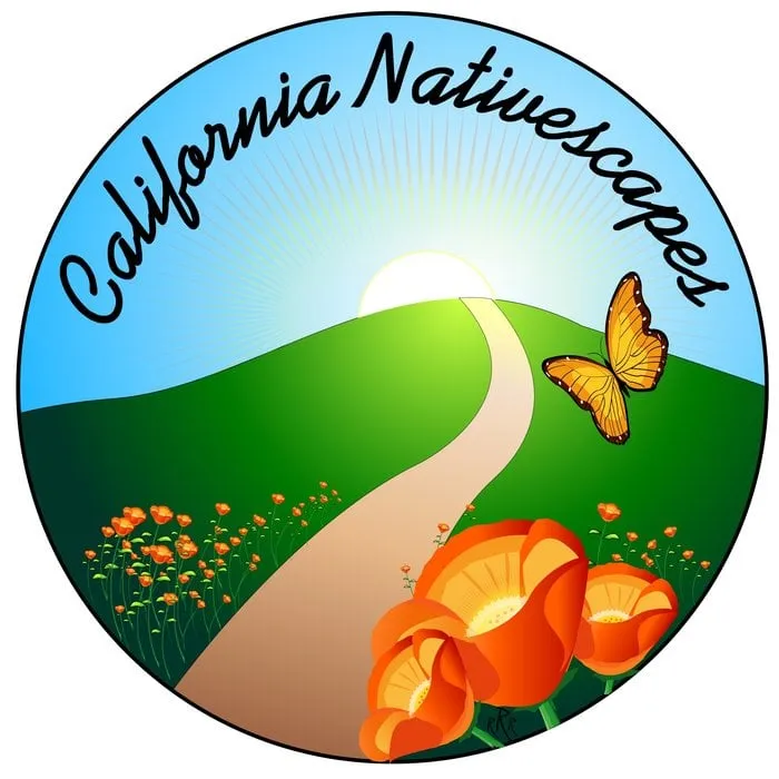 Custom residential landscaping in San Jose, CA by California Nativescapes