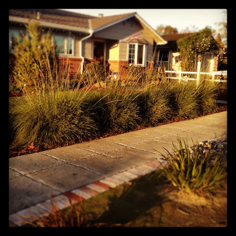 Affordable landscape installation for beautiful yards in San Jose, CA by California Nativescapes