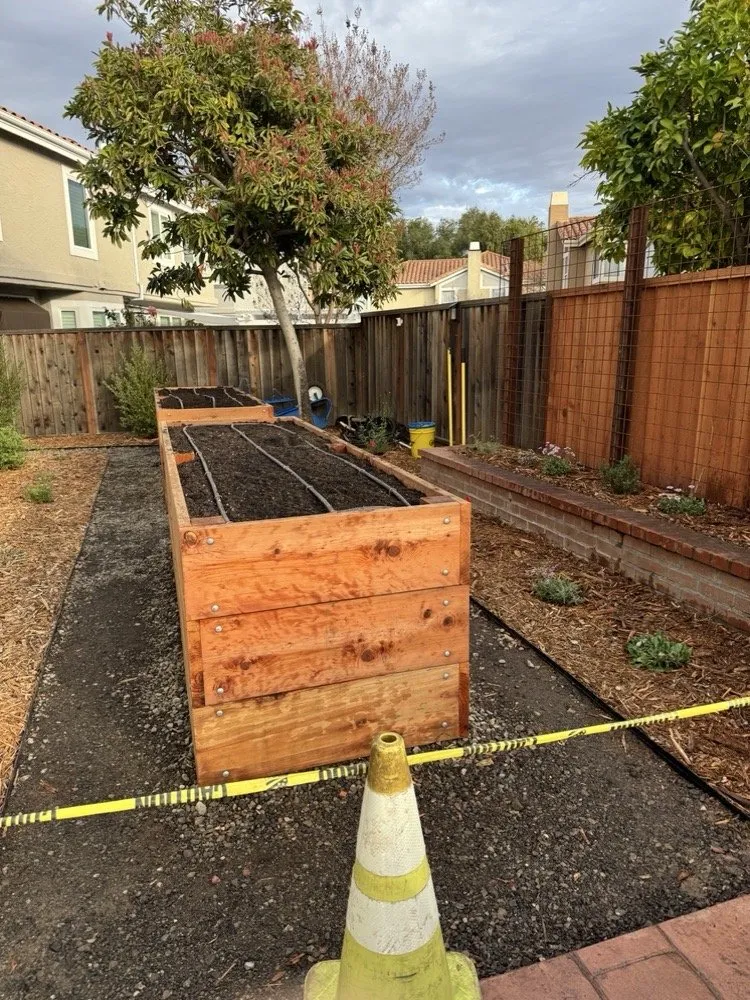 Trusted yard maintenance experts serving San Jose, CA - California Nativescapes