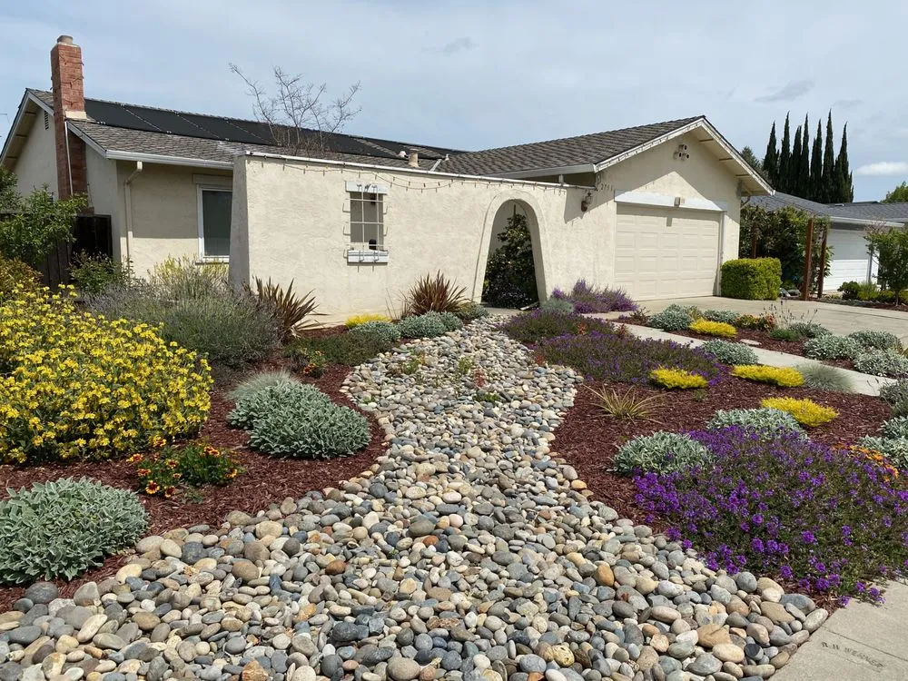 Reliable yard cleanup service in San Jose, CA by California Nativescapes