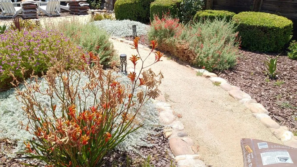 Top-rated landscaping services for year-round maintenance in Ramona, CA by California NatureScaping