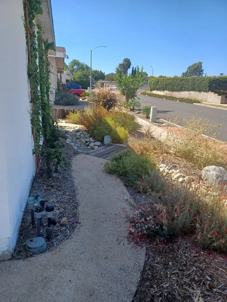 Reliable lawn care service in Ramona, CA by California NatureScaping