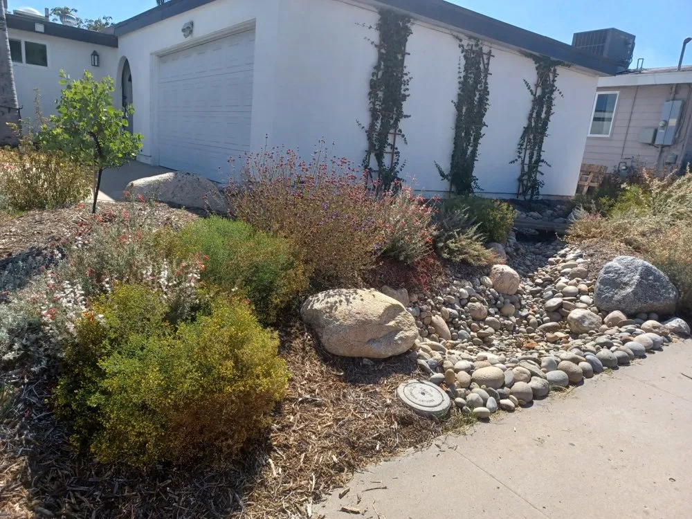 Professional yard maintenance with custom design across Ramona, CA - California NatureScaping