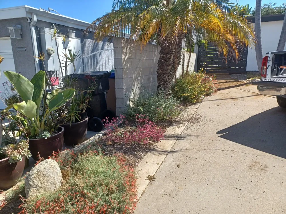 Trusted landscaping services for outdoor upgrades across Ramona, CA - California NatureScaping