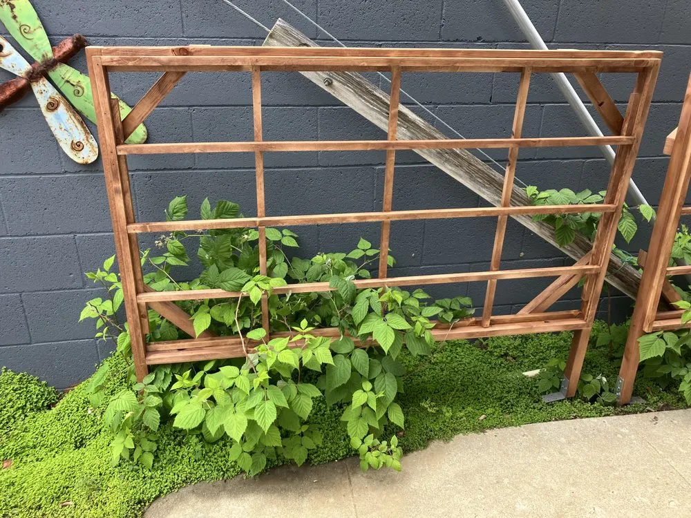 Top-rated yard cleanup service for residential properties in Camarillo, CA by California Outdoor Mini Cellars and Backyard Living