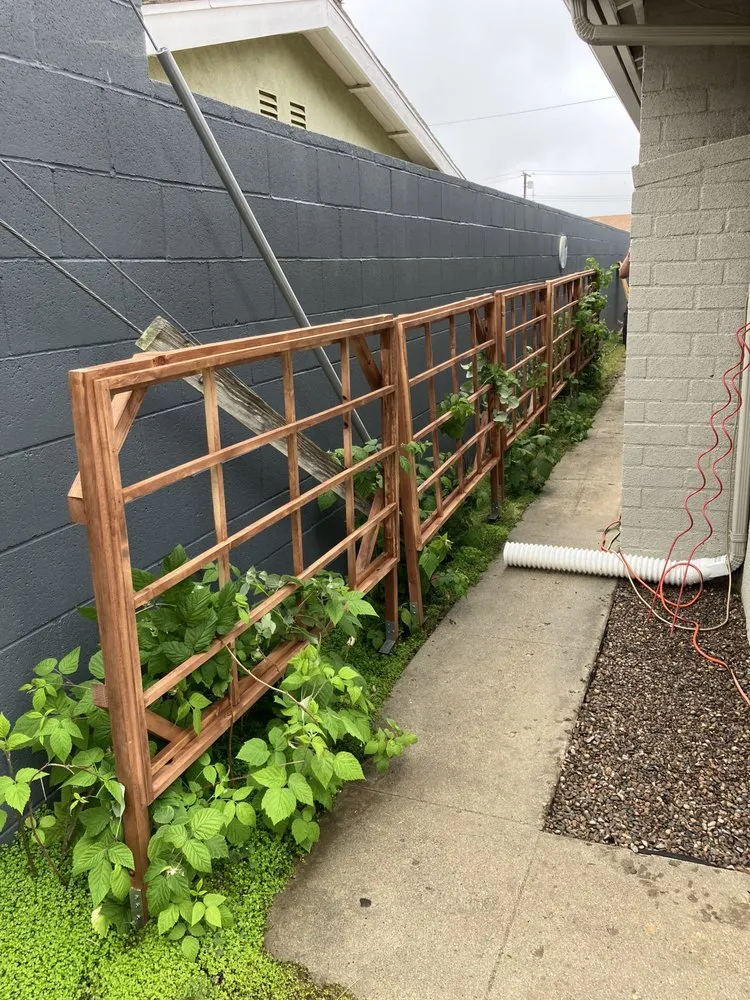 Top-rated yard cleanup service for homes in Camarillo, CA by California Outdoor Mini Cellars and Backyard Living