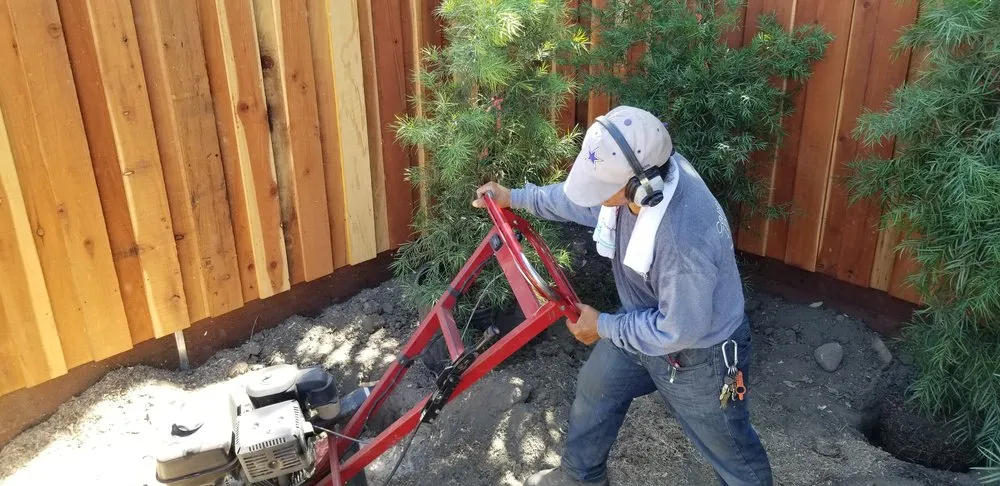 Expert yard cleanup service for year-round maintenance across Burbank, CA - California Pavingstone