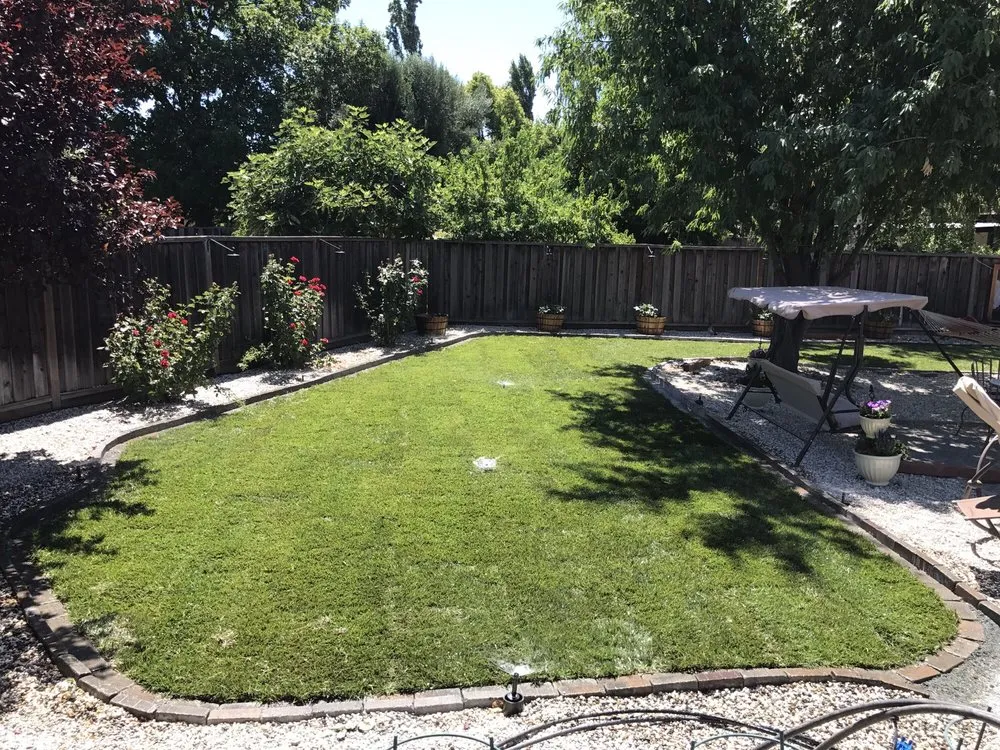 Expert lawn mowing service in Tracy, CA - California Professional Landscape Construction
