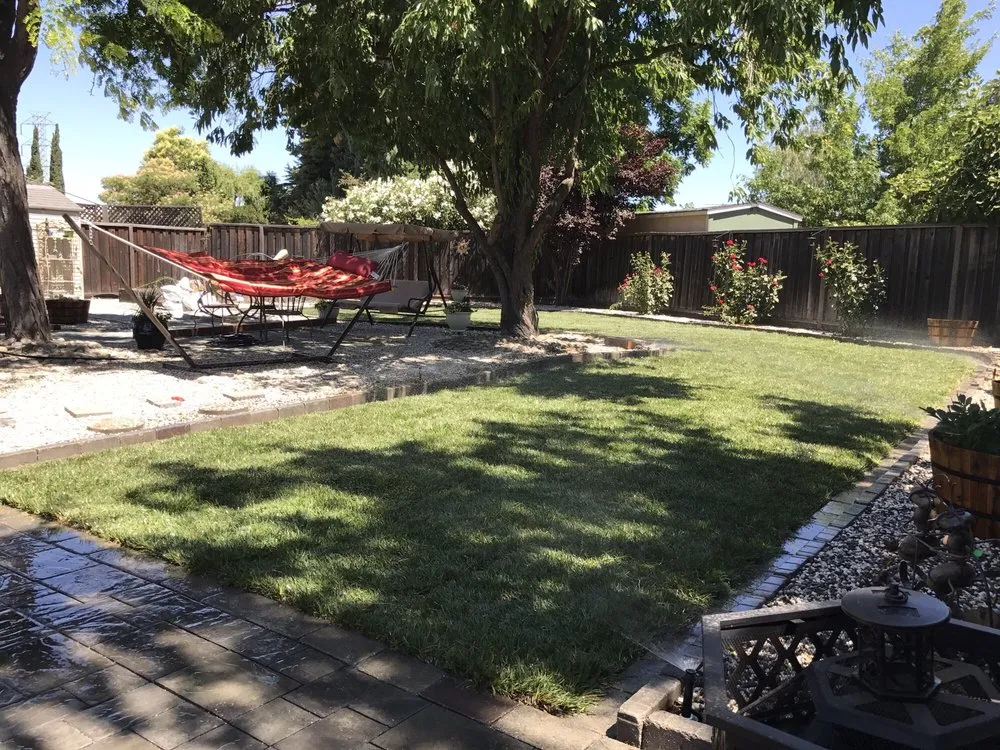 Local landscape installation for outdoor upgrades across Tracy, CA - California Professional Landscape Construction