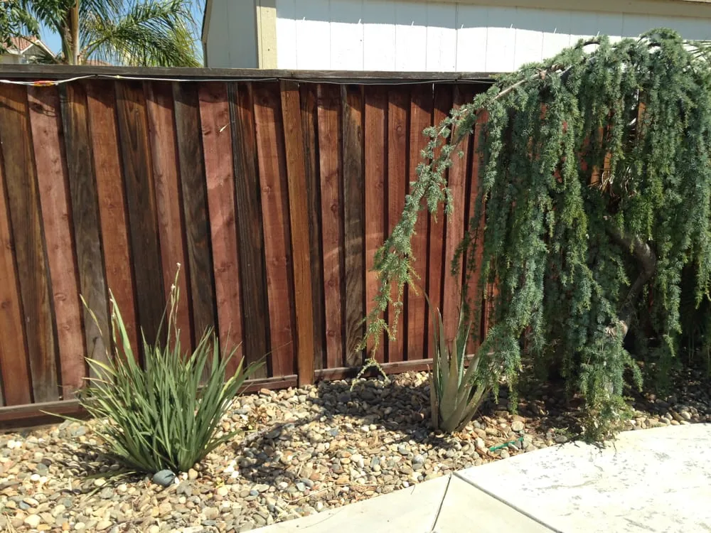Affordable yard maintenance for residential properties in Tracy, CA by California Professional Landscape Construction