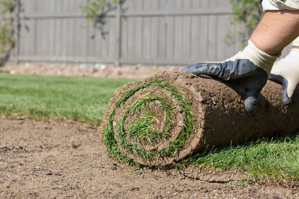 Reliable yard cleanup service in Tracy, CA - California Professional Landscape Construction