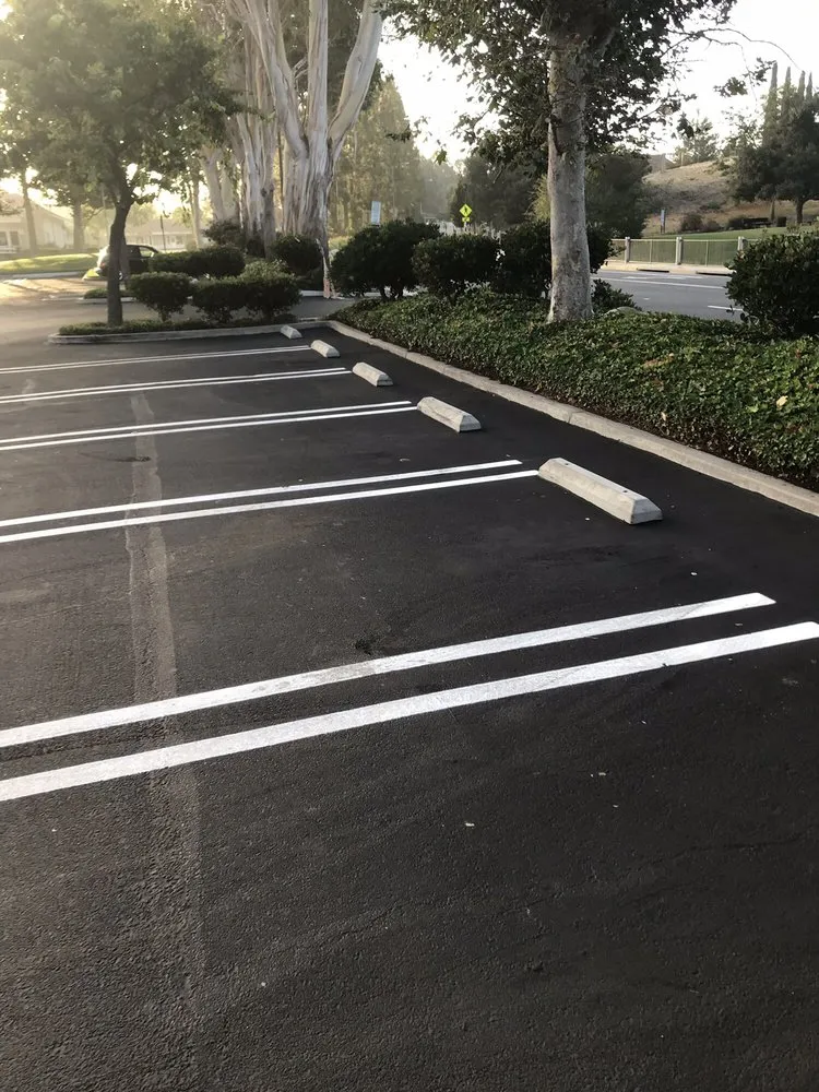 Affordable landscape installation for beautiful yards in Los Angeles, CA by California Property Maintenance