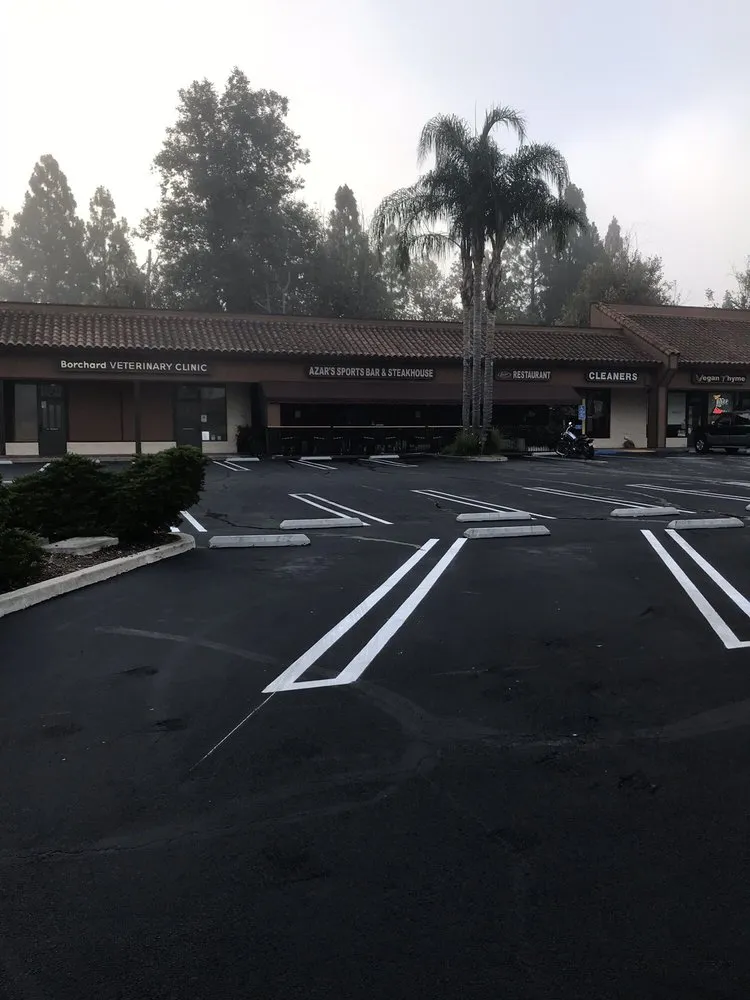 Trusted yard maintenance in Los Angeles, CA by California Property Maintenance