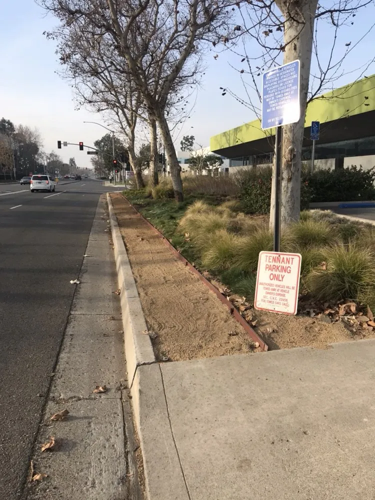 Professional landscape design experts serving Tustin, CA - California Rainforest Gardens