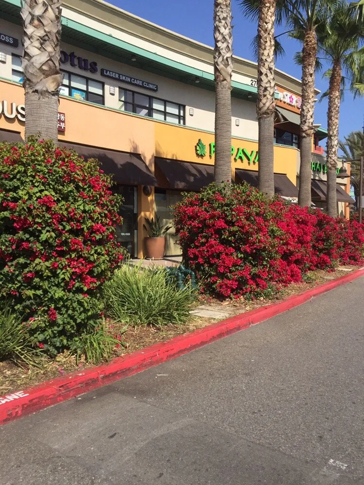 Reliable lawn care service for beautiful yards across Tustin, CA - California Rainforest Gardens