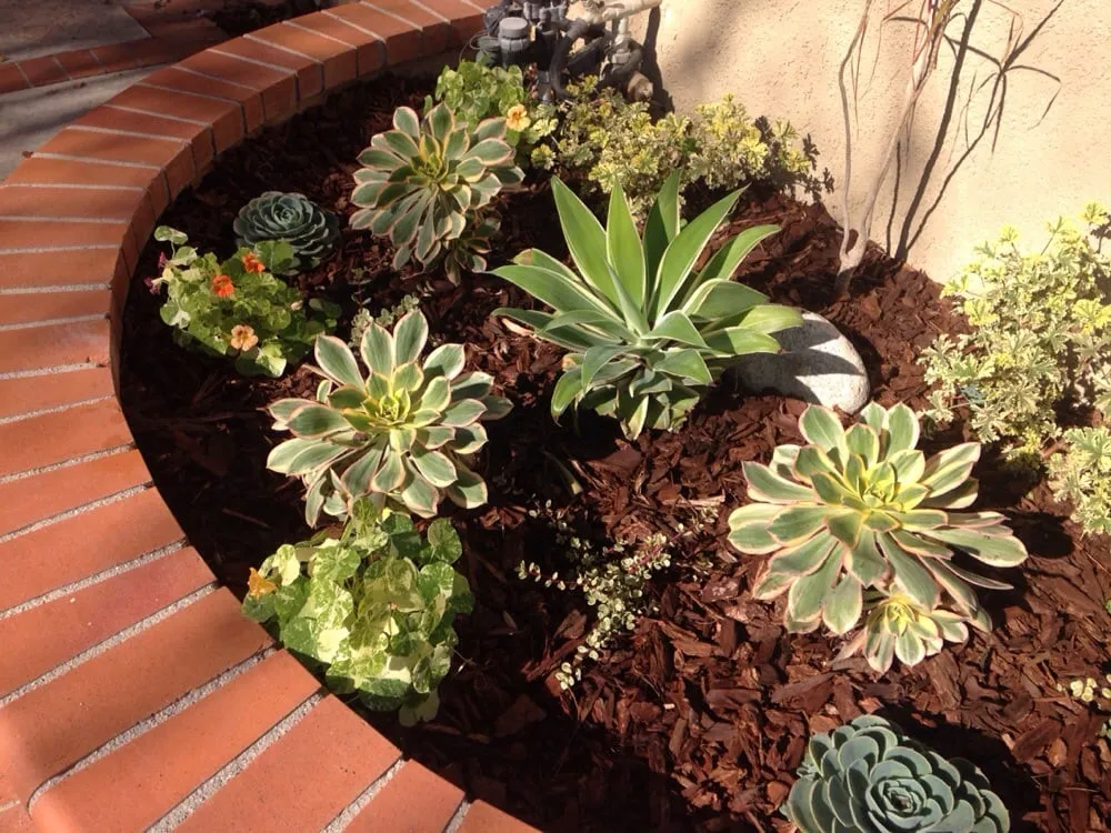 Expert residential landscaping for year-round maintenance in Tustin, CA by California Rainforest Gardens