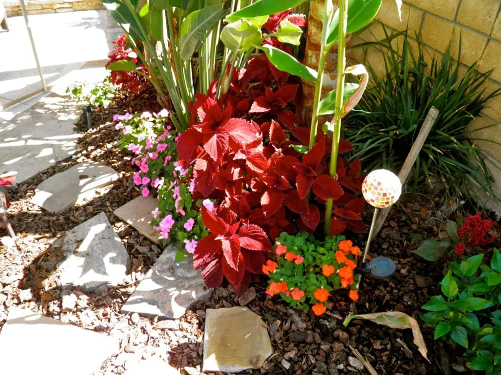 Custom yard cleanup service experts serving Tustin, CA - California Rainforest Gardens