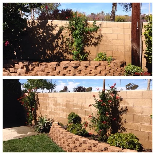 Expert residential landscaping experts serving Tustin, CA - California Rainforest Gardens