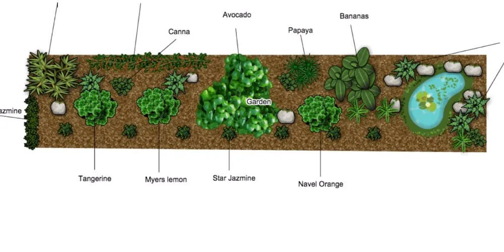 Expert yard cleanup service for beautiful yards in Tustin, CA by California Rainforest Gardens