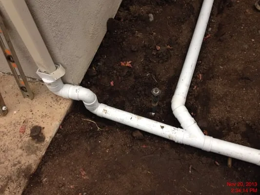 California Rainforest Gardens Logo