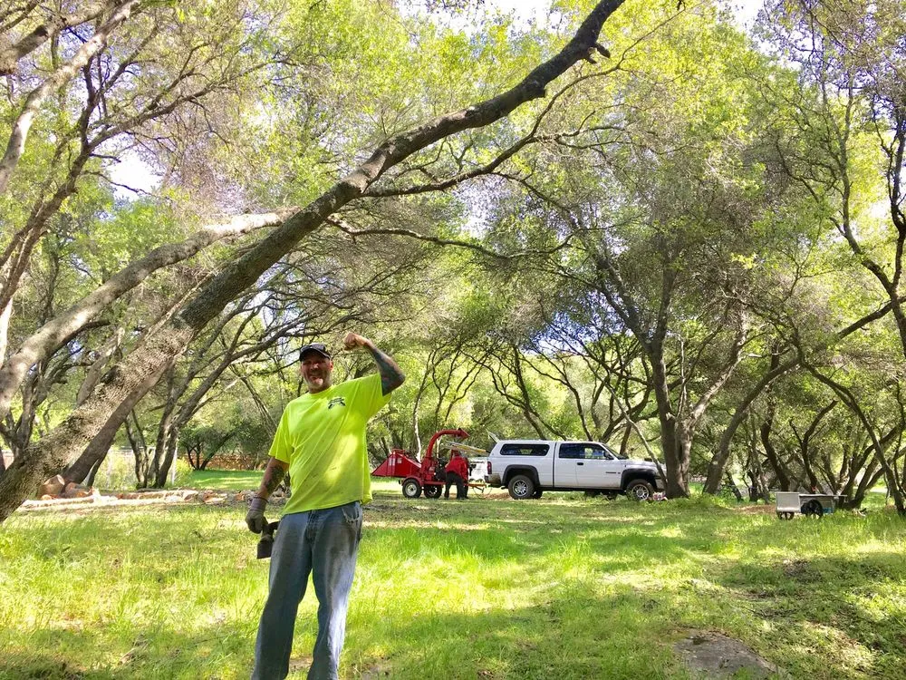 Custom landscape design for outdoor upgrades in Sacramento, CA by California Tree Experts