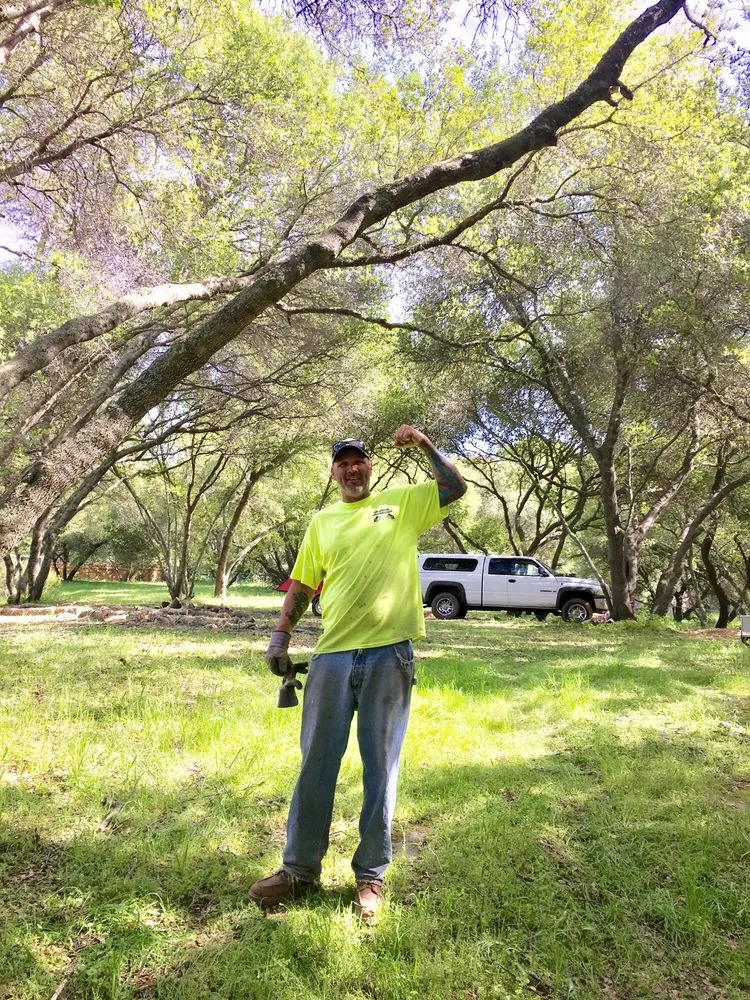 Expert yard maintenance in Sacramento, CA - California Tree Experts