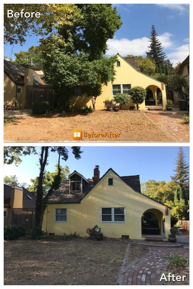 Affordable landscape installation with custom design in Sacramento, CA by California Tree Experts