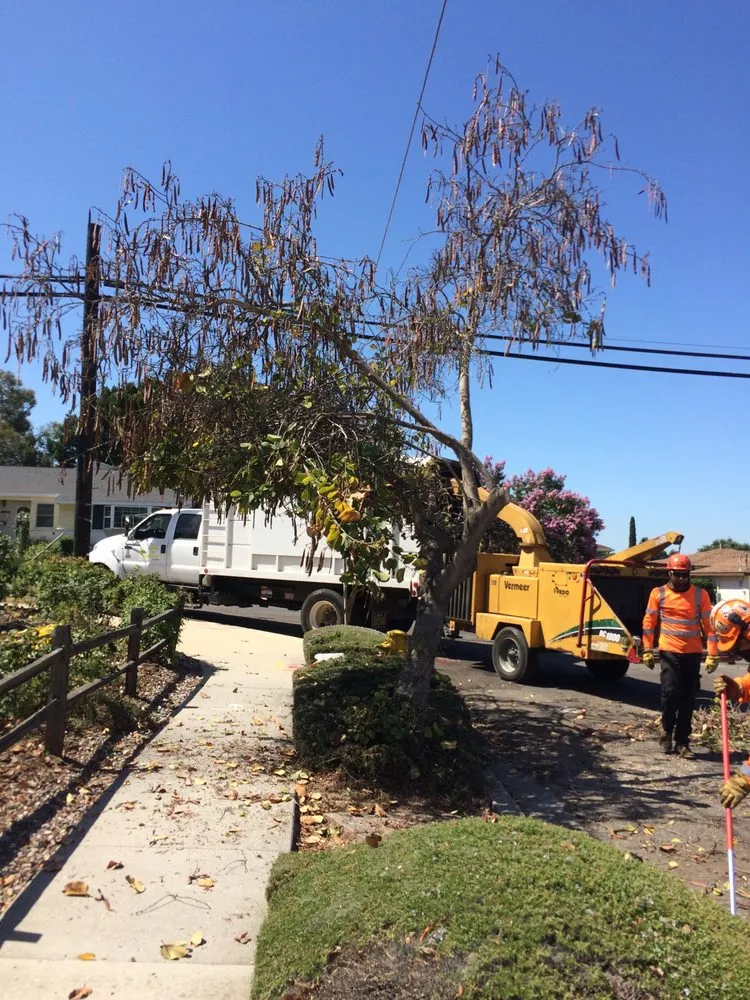 Affordable landscape installation for beautiful yards in San Marcos, CA by California Tree Service