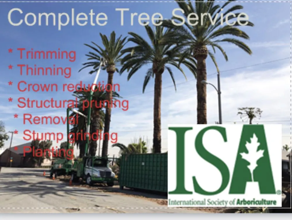 Top-rated garden landscaping for year-round maintenance in Hawthorne, CA by California Tree specialists
