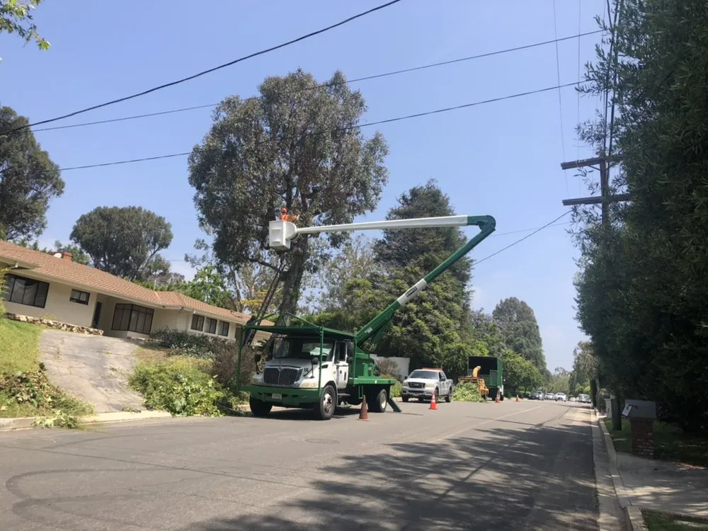 Custom lawn care service experts serving Hawthorne, CA - California Tree specialists