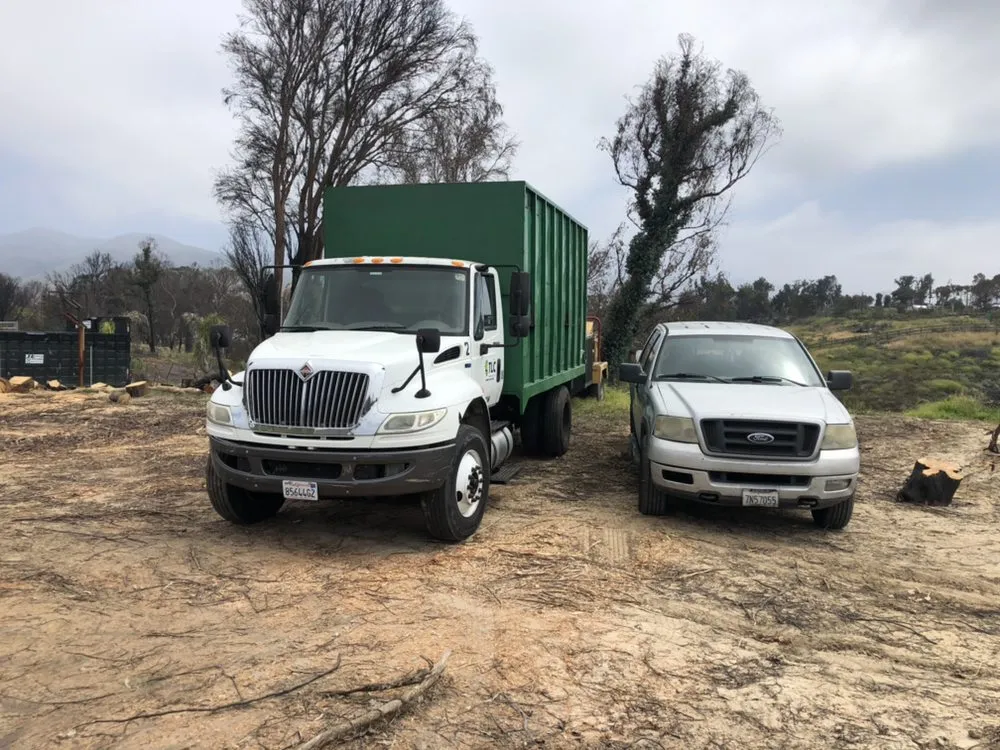 Top-rated landscape design in Hawthorne, CA by California Tree specialists